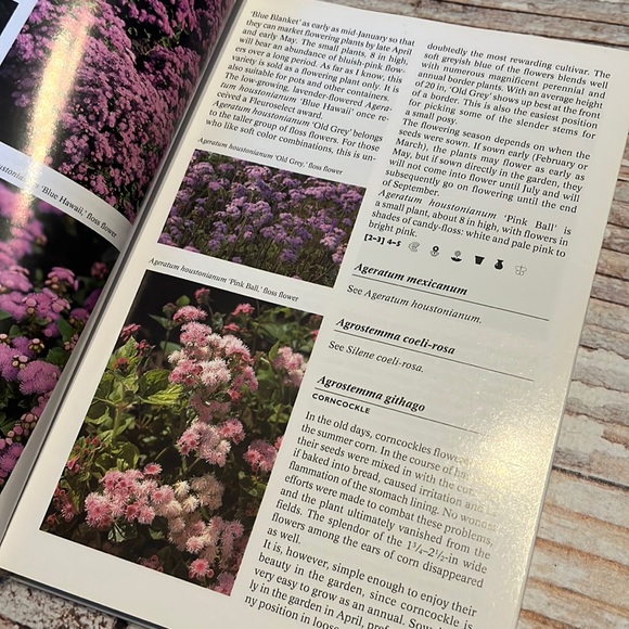 The Complete Encyclopedia Of Summerflowers - Picture 4 of 11